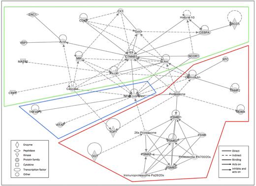 Figure 2. Networks generated from the analysis of identified sensitizers using IPA. The network with the highest score was mostly centered on the NF-κB/proteasome complex and the CDK5/β-catenin/Akt pathway, including 22 of 37 genes under analysis. Gray represents the queried genes.