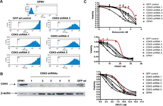 Figure 5. Sensitization to proteasome inhibitors after introducing CDK5 shRNAs in OPM1 cells. OPM1 cells were infected with control virus and 5 different CDK5 shRNA-expressing viruses. At day 2 and day 3 after infection, expression of GFP was detected by FACScan analysis and expression of CDK5 was assayed by Western blot (A-B). MTT assay was set for each shRNA-infected cell sample at day 3 after transfection. Three proteasome inhibitors were added at the indicated concentration. Cell viability was measured at day 3 after exposure, and the dose-responsive curve was made for each control and CDK5 shRNA-infected cells (C).