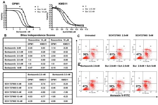 Figure 6. Effects of combination of CDK5 inhibitor roscovitine, SCH727965, and bortezomib on myeloma cells. (A) KMS11 and OPM1 cells were seeded in 96-well plates and incubated with roscovitine (Ros), SCH727965, and bortezomib alone and either of both drugs in combination with bortezomib at the indicated concentrations. After 72-hour incubation, cell viability was determined using MTT assay and the dose-response curves were generated. (B) Bliss independence score for each combination of 2 compounds on both cell lines was calculated to verify the synergistic, independent, and antagonistic cytotoxic effects at a broad range of concentrations. Negative value suggests synergism between 2 compounds. (C) The bone marrow from myeloma patients was collected, and CD138+ cells were isolated and cultured with vehicle, bortezomib (Bor), SCH727965 (Sch) alone, and 2 drugs (Sch + Bor) together for 72 hours. The cells were then harvested and stained with annexin V-fluorescein isothiocyanate and propidium iodide, followed by FACScan analysis.