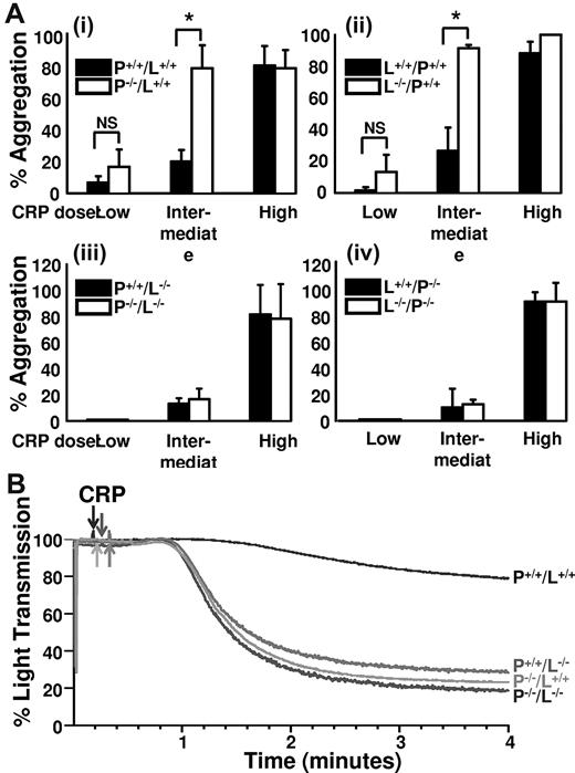 Figure 1. PECAM-1 and Lyn depend on one another to inhibit platelet responses to GPVI-specific agonists. (A) To control for genetic differences other than PECAM-1 or Lyn, platelets were obtained from age- and sex-matched PECAM-1–positive/Lyn-positive (P+/+/L+/+) and PECAM-1–negative/Lyn-positive (P−/−/L+/+) offspring of pecam-1+/−/lyn+/+ breeding pairs (i), Lyn-positive/PECAM-1–positive (L+/+/P+/+) and Lyn-negative/PECAM-1–positive (L−/−/P+/+) offspring of lyn+/−/pecam-1+/+ breeding pairs (ii), PECAM-1–positive/Lyn-negative (P+/+/L−/−) and PECAM-1-negative/Lyn-negative (P−/−/L−/−/) offspring of pecam-1+/−/lyn−/− breeding pairs (iii), and Lyn-positive/PECAM-1–negative (L+/+/P−/−) and Lyn-negative/PECAM-1–negative (L−/−/P−/−) offspring of lyn+/−/pecam-1−/− breeding pairs (iv). Pairwise combinations of platelets were stimulated in an aggregometer with various doses of CRP as described in “Isolation and stimulation of platelets” under constant stirring conditions. Low, intermediate, and high doses of CRP were empirically determined for each pairwise comparison. A low dose of CRP (range, 0.025-0.1 μg/mL) was defined as the highest dose of CRP that failed to induce aggregation of double-positive platelets for the data shown in subpanels i-ii, or of single-positive platelets for the data shown in subpanels iii-iv. A high dose of CRP (range, 0.2-0.6 μg/mL) was defined as the lowest dose of CRP that induced 100% aggregation of double-positive platelets for the data shown in subpanels i-ii, or of single-positive platelets for the data shown in subpanels iii-iv. An intermediate dose of CRP (range, 0.05-0.3 μg/mL) was between the high and low doses for each experiment. The percentage of aggregation was quantified in multiple pairwise comparisons (n = 3), and results are presented as mean percentage (± SEM) of aggregation. An asterisk identifies a statistically significant difference in platelet aggregation (P < .05). “NS” identifies differences that are not statistically significant. Note that PECAM-1 inhibits platelet responses to intermediate doses of CRP in the presence (i) but not in the absence (iii) of Lyn, and that Lyn is inhibitory in the presence (ii) but not in the absence (iv) of PECAM-1. (B) CRP-induced aggregation responses of platelets from age- and sex-matched mice of all 4 genotypes were compared in a single experiment using a dose of CRP (0.3 μg/mL) that induced an intermediate level of responsiveness from P+/+/L+/+ platelets. Note that PECAM-1–deficient, Lyn-deficient, and PECAM-1/Lyn double-deficient platelets are equally hyperresponsive, relative to wild-type platelets, to an intermediate dose of the GPVI-specific agonist CRP.