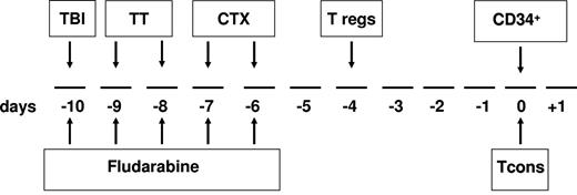 Figure 1. Overall view of the protocol. The conditioning regimen included total body irradiation (TBI) of 8 Gy in a single fraction at 16 cGy/m, thiotepa (TT) at 4 mg/kg/d, cyclophosphamide (CTX) at 35 mg/kg/d, and fludarabine at 40 mg/sqm/d. On day −4, the patient received freshly isolated donor Tregs, followed by a megadose of CD34+ cells and Tcons (day 0). No posttransplantation immunosuppression was given.