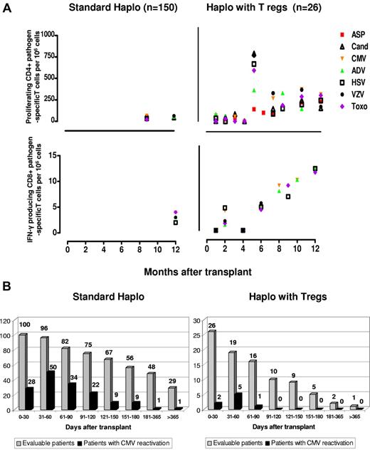 Figure 5. Immunologic reconstitution after Treg-based transplantation. (A) Reconstitution of pathogen-specific T-cell responses. Right panels: posttransplantation frequencies of CD4+ and CD8+ pathogen-specific T-cell clones in Treg-haploidentical transplantation versus standard haploidentical transplantation (left panels). Sample numbers were at least 3 for each time point. CD4+ pathogen-specific T-cell clones in the Treg haploidentical transplantation group at month +1 (ASP = 2.6 ± 1.2; CAND = 5.3 ± 2.1; CMV = 115 ± 61; ADV = 156 ± 78; HSV = 32 ± 4; TOXO = 65 ± 26; VZV = 48 ± 34); at months +3 (ASP = 37.5 ± 34; CAND = 69.5 ± 42; CMV = 68 ± 48; ADV = 422 ± 333; HSV = 79 ± 16; TOXO = 170 ± 57; VZV = 48 ± 34); at months +6 (ASP = 91.6 ± 29; CAND = 133 ± 91; CMV = 259 ± 245; ADV = 303 ± 216; HSV = 137 ± 90; TOXO = 263 ± 156; VZV = 337 ± 280); at months +12 (ASP = 210.5 ± 190.2; CAND = 139 ± 104; CMV = 359 ± 288; ADV = 160 ± 103; HSV = 222 ± 173; TOXO = 277 ± 218; VZV = 155 ± 111) (P < .0001 compared with standard haploidentical transplantations at each time point). CD8+ pathogen-specific T-cell clones in the Treg-haploidentical transplantation group at month +1 (CMV = 1.2 ± 3; ADV = 0; HSV = 1.5 ± 1; TOXO = 3 ± 0.4; VZV = 2 ± 2); at month +3 (CMV = 4.4 ± 3.5; ADV = 0; HSV = 1.6 ± 1.5; TOXO = 1.5 ± 1.2; VZV = 4.2 ± 4); at month +6 (CMV = 4.3 ± 2.3; ADV = 4 ± 3.4; HSV = 4.8 ± 4.5; TOXO = 3.6 ± 2; VZV = 4.2 ± 4.1); at month +12 (CMV = 11 ± 1; ADV = 11 ± 1; HSV = 9 ± 2; TOXO = 10.3 ± 1.5; VZV = 11 ± 1) (P < .0001 compared with standard haploidentical transplantations at each time point). (B) Episodes of CMV reactivation are significantly lower (P < .05) after “haplo with Tregs” (right panel) compared with “standard haplo” (left panel) transplantations.