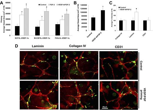 Figure 2. SCF can be replaced by either Flt-3L or M-CSF to act in conjunction with IL-3 and SDF-1α to stimulate EC tube formation and hematopoietic cytokines facilitate pericyte recruitment to EC tubes and vascular basement membrane matrix assembly in 3D collagen matrices. (A) M-CSF and Flt3L were added to replace SCF and were compared with SCF/IL-3/SDF-1α by adding them to IL-3/SDF-1α. In addition, ECs were either primed with FGF alone, VEGF-A/FGF-2, or control and then cultured for 72 hours. After fixation, total EC tube area was determined (n ≥ 10; P ≤ .01). *Denotes significance over control ECs; +denotes significance over the FGF-2–only primed ECs. (B) ECs were left untreated or were primed with VEGF-A/FGF-2 and then incorporated with GFP pericytes and hematopoietic cytokines (SCF/IL-3/SDF-1α) into 3D collagen matrices. Assays were allowed to develop over 5 days and average EC vessel area measured (n ≥ 10; P ≤ .01). *Denotes significance over control. (C,D) Basement membrane matrix deposition was assessed in the presence or absence of EC priming with VEGF-A/FGF-2. Cultures were fixed and stained with antibodies to laminin, collagen type IV, and CD31. Fluorescent images of this staining were acquired, quantitated (C), or overlaid with images of GFP pericytes (D). Bar equals 20 μm.