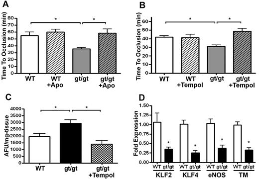 Figure 5. Influence of antioxidant therapy on time to arterial thrombosis occlusion. WT (n = 6) and PRCPgt/gt (n = 8) mice were left untreated or treated with the antioxidants apocynin (Apo; n = 6 WT; n = 11 PRCPgt/gt; A) or tempol (n = 6 WT; n = 5 PRCPgt/gt; B) for 7 days. At the conclusion of the treatment period, carotid artery occlusion times were performed using the Rose-Bengal carotid artery thrombosis model. One-way analysis of variance was used to determine the difference among groups. Data presented are the mean ± SEM of ≥ 5 mice for each condition. (C) Hydrogen peroxide (H2O2) levels were measured by Amplex Red in renal tissue harvested from WT (n = 7), PRCPgt/gt (n = 9), or PRCPgt/gt + tempol-treated (n = 5) mice. (D) Constitutive aortic expression of endothelial cell mRNA for KLF2, KLF4, eNOS, or thrombomodulin (TM) in WT (n = 3) or PRCPgt/gt (n = 4) mice. *P < .05.