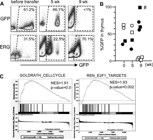 Figure 4. Effects of ERG expression on T-cell repopulation. (A-B) Thymocytes taken from mice that received a transplant with GFP-only control and ERG-transduced BM cells 5 weeks earlier were each transplanted (9 × 106 per mouse) into 3 lethally irradiated syngeneic hosts along with 3 × 105 radioprotective BM cells. Mice were then analyzed for GFP expression in thymus 5 weeks (1 mouse) and 9 weeks (2 mice) after the transplantation. A mouse indicated with an asterisk exhibited Notch1 mutation in thymocytes, whereas all other mice had no detectable Notch1 mutations. (C) Microarray analysis of transcripts in thymocytes taken from mice that received a transplant with GFP-only control and ERG-transduced BM cells 5 weeks earlier. Gene Set Enrichment Analysis showing enrichment of genes associated with cell-cycle and E2F1 target genes. Notch1 mutations were not detected in this experiment.