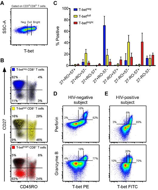 Figure 2. Effector CD8+ T cells contain the highest levels of T-bet, which is associated with perforin and Grz B expression in resting cells. (A) Three populations of T-bet are typically observed in human CD8+ T cells. Shown is a representative flow cytometric plot of the T-bet staining profile within CD3+CD8+ T cells from an HIV-negative subject. (B) Representative flow cytometric plots of the memory distribution, as determined by CD27 and CD45RO, of the 3 populations of T-bet: negative (blue), dull (yellow), and bright (red). These various T-bet populations were overlaid onto density plots (black shading) of total CD8+ T cells. Percentages represent the fraction of overlaid cells that fell within each quadrant. (C) The memory distributions of T-betneg (blue), T-betdull (yellow), and T-betbright (red) populations, as determined by CD27, CD45RO, and CD57, were established for HIV-negative subjects (n = 8). Bars represent the means and error bars indicate SDs. (D-E) Representative flow cytometric plots showing T-bet against both perforin and Grz B among total CD8+ T cells from an HIV-negative (D) and an HIV-positive (E) subject. Percentages represent the fraction of perforin or Grz B that was negative, dull, or bright for T-bet expression.