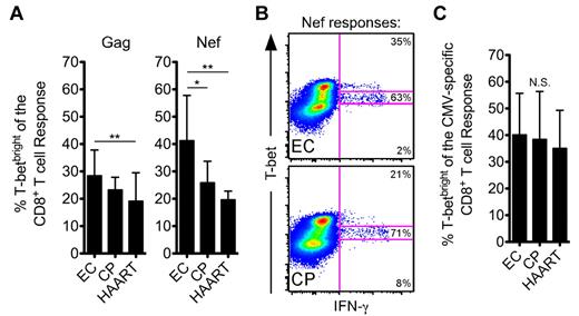 Figure 3. HIV-specific CD8+ T cells from ECs express higher amounts of T-bet than CPs after short-term stimulation. (A) The fraction of Gag- or Nef-specific CD8+ T cells, as identified by staining for IFN-γ, TNFα, or CD107a, that fell within the T-betbright gate was determined for all ECs, CPs, and HAART subjects. (B) Representative flow cytometric plots from ECs and CPs showing the fraction of the Nef-specific response that fell within the 3 T-bet gates. Events shown have been gated on CD8+ T cells. (C) The fraction of CMV-specific CD8+ T cells that fell within the T-betbright gate was determined for all ECs, CPs, and HAART subjects as in panel A. (A-C) Statistical analysis was carried out using 1-way ANOVA (nonparametric; Kruskal-Wallis) followed by a Dunn test for multiple comparisons. *P < .05; **P < .01. Bars represent the means and error bars indicate SDs.