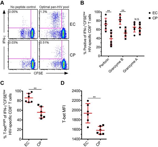 Figure 6. HIV-specific CD8+ T cells from ECs express higher amounts of T-bet than CPs after proliferation. (A) CFSE-labeled PMBCs from a subset of ECs and CPs were stimulated for 5 days in the presence of a pool of Nef, Gag, or optimal 9-11mer HIV peptides. Representative flow cytometric plots show HIV-specific CD8+ T cells, as determined by the production of IFN-γ after restimulation, that have proliferated. Percentages represent the fraction of total CD8+ T cells within each gate. (B) The proportion of IFN-γ+CFSElow HIV-specific CD8+ T cells positive for perforin, Grz B, and Grz A was determined on day 5 for ECs and CPs. (C-D) T-bet expression was also determined on day 5 after HIV-specific stimulation, with levels reported as the percentage (C) or MFI (D) among IFN-γ+CFSElow HIV-specific CD8+ T cells. The reported MFI values indicate the difference between the T-betneg population and the T-bet MFI of the IFN-γ+CFSElow cells for each subject. (B-D) Mann-Whitney tests (nonparametric; 2-tailed) were performed to compare ECs with CPs for each functional parameter. **P < .01. Error bars indicate the means and SDs.