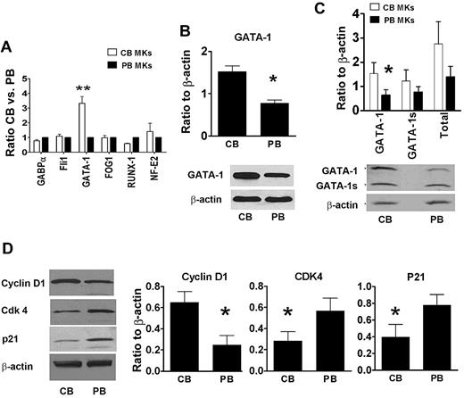 Figure 3. GATA-1 levels in CB-MKs and PB-MKs. (A) The expression levels of multiple transcription factors related to MK development were analyzed by quantitative real-time PCR. Among the transcription factors studied, only GATA-1 was up-regulated in CB-MKs compared with PB-MKs. CB values were expressed as ratios to PB values. Bars represent the means ± SEM of 4 independent experiments. **P < .01. (B) Up-regulation of the GATA-1 protein was confirmed by Western blot analysis using an antibody targeting the N-terminal motif (no. 3535; Cell Signaling Technology), which only recognizes full-length GATA-1. *P < .05 (C) An antibody recognizing the C-terminal motif (SC-1233; Santa Cruz Biotechnology) was then used to differentiate between the full-length GATA-1 and GATA-1s. Only the levels of full-length GATA-1 were significantly higher in CB-MKs compared with PB-MKs. *P < .05. (D) The protein levels of cyclin D1, Cdk4, and p21 were also measured by Western blot analysis in human CB- and PB-derived mature MKs. Cyclin D1 protein levels were 2.6-fold higher in CB-MKs compared with PB-MKs, whereas Cdk4 and p21 protein levels were approximately 50%. In all cases, proteins were quantified by densitometric analysis of protein blots using the ImageJ program, and were expressed as a ratio to β-actin as an internal control. The bars represent the means ± SEM of 4 independent experiments, and the Western blots show representative results of each set of experiments. *P < .05.