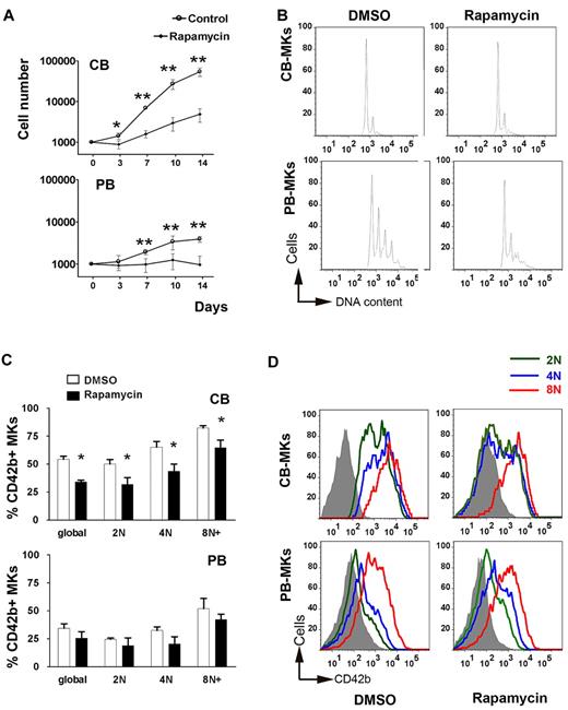 Figure 6. Effects of rapamycin on the proliferation, differentiation, and maturation of MKs. (A) Cell counts (± SD) in rapamycin (50nM) vs DMSO-treated (control) cultures of CB-MKs and PB-MKs. Rapamycin, added to the cultures starting on day 0, significantly reduced the cell counts in both CB-MK and PB-MK cultures, although the effect was somewhat more pronounced on CB-MKs. *P < .05; **P < .01. (B) Ploidy levels of rapamycin-treated versus control CB-MKs and PB-MKs as measured by flow cytometry. (C) Percentage of CD42b+ cells in rapamycin vs DMSO-treated CB-MKs and PB-MKs shown globally and classified by ploidy level. Bars represent the means ± SEM of 3 independent experiments. *P < .05. (D) Flow cytometric measurements of the MFI of CD42b staining among CB-MKs and PB-MKs cultured in the presence of rapamycin or DMSO classified by ploidy level. A representative result of 3 independent experiments is shown.