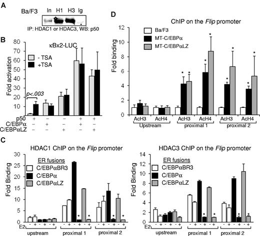 Figure 4. C/EBP displaces HDACs from NF-κB p50. (A) Ba/F3 cell lysates were subjected to immunoprecipitation (IP) with the indicated antisera, and coprecipitated NF-κB p50 was detected by Western blotting (WB). (B) NIH-3T3 cells were transiently cotransfected in duplicate with 1 μg of κB×2-Luc, 5 ng of CMV–β-Gal, and the indicated combinations of CMV, CMV-p50, CMV-C/EBPα, or CMV-C/EBPαLZ. TSA or vehicle was added 24 hours after transfection to one set, and luciferase and β-galactosidase activities were determined after an additional 24 hours. Corrected fold activation relative to empty CMV was calculated, and an average from 3 experiments is presented. (C) Ba/F3 cells carrying the indicated ER fusions of C/EBPα variants were cultured without (-) or with (+) estradiol (E2) for 5 hours and subjected to ChIP analysis with the use of antisera for HDAC1 (left) or HDAC3 (right). Enrichment of a DNA fragment corresponding to the proximal or the distal regions of the Flip promoter, determined with quantitative real-time PCR relative to input DNA, in 3 independent ChIP experiments is shown. *P < .001 for the comparison between without (-) and with (+) E2. (D) Parental Ba/F3 cells or clones carrying MT-C/EBPα were cultured with zinc for 16 hours and subjected to ChIP analysis with the use of antisera for C/EBPα (α), HDAC1 (H1), HDAC3 (H3), or normal rabbit IgG (Ig). PCR was used to detect the precipitated FLIP promoter. Endogenous expression of HDAC1 or HDAC3 was determined by Western blotting in similarly treated cells. (E) The indicated Ba/F3 cell clones were cultured with zinc for 16 hours, and chromatin DNA was immunoprecipitated with antibodies against acetyl-histone H3 (AcH3) or acetyl-histone H4 (AcH4). The precipitation of DNA fragments corresponding to the proximal or distal regions of the Flip promoter was determined with the use of quantitative real-time PCR relative to input DNA, and the average from 3 experiments is presented. *P < .01 for the comparison between parental Ba/F3 and cells expressing MT-C/EBPα or MT-C/EBPαLZ.