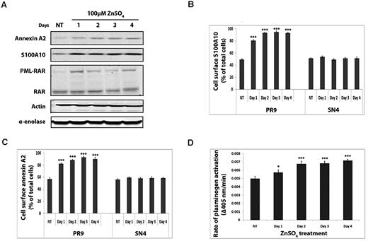 Figure 4. Expression of PML-RAR-α oncoprotein up-regulates cell surface expression of S100A10. PR9 and mock-transfected SN4 cells were treated with ZnSO4 for the indicated times. Cell lysates were prepared, and total levels of S100A10, annexin A2, α-enolase, and PML-RAR were examined by Western blotting with the use of actin as a loading control (A). Flow cytometric analysis of cell surface S100A10 (B) and annexin A2 (C). Quantification of flow cytometric analysis of cell surface S100A10 and annexin A2 in ZnSO4-treated PR9 and SN4 cells was calculated with the use of WinMDI software (**P < .01 and ***P < .001). Zinc-induced PR9 cells were incubated with uPA (50nM) and plasminogen (0.5μM), and the rate of plasmin generation was measured at 405 nm. Statistical analysis was performed by 1-way ANOVA with Tukey multiple comparisons, and data are expressed as the percentage of specific binding ± SD of 3 independent experiments (D).