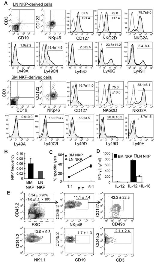 Figure 3. B6 LN Lin−CD49b+CD127+ cells differentiate into mature NK cells in vitro and in vivo. (A) LN Lin−CD49b+CD127+ and BM Lin−CD122+ cells from B6 mice were purified by FACS and cultured with OP9 stroma cells and cytokines for differentiation into NK cells. Cells were harvested after 12 days in culture and analyzed by flow cytometry for the expression of indicated cell surface markers. Data are representative of 5 independent experiments. The numbers show the average (± SD) percentages of positive cells. (B) The frequency of NK-cell precursors among LN Lin−CD49b+CD127+ cells (LN NKP) and control conventional BM Lin−CD122+ NKPs (BM NKP) was determined by limiting dilutions analysis. Both cell types were sorted in pools of 3, 10, 30, and 90 cells (n = 40) onto OP9 stroma layers and cultured for 12 days. The frequency ± SEM of NK progenitors in each population was calculated by L-Calc software (StemCell Technologies). (C) The cytotoxicity of NK cells generated in vitro from LN NKPs and BM NKPs was tested with the use of YAC-1 as target. (D) The in vitro–generated NK cells were stimulated overnight with 1 ng/mL IL-12 alone or IL-12 and IL-18 (0.5 ng/mL). The level of IFN-γ secretion was measured by ELISA. Shown is 1 representative experiment of 3. (E) Nonirradiated NOD/Scid/IL-2Rγ KO (NSG) mice were intravenously injected with FACS-purified LN NKPs (103 cells per mouse). After 4 weeks, spleen cells were analyzed for the presence of CD45.2+ cells. CD45.2+ cells were gated for NKp46+ cells, and the expression of CD127 and CD49b was analyzed (top). CD45.2+ cells were analyzed for the expression of NK1.1 (NK cells), CD3 (T cells), and CD19 (B cells) (bottom).