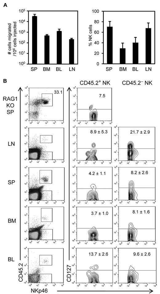 Figure 5. Splenic CD127+ NK cells do not preferentially migrate into the LN. (A) Spleen cells from RAG1 KO mice were labeled with CFSE and intravenously injected (3-3.5 × 106 per mouse) into nonirradiated B6 mice. Blood, spleen, LNs, and BM were isolated 18 hours after injection and analyzed by flow cytometry for the presence of CFSE+ cells. Left bar graph shows the total numbers of CFSE+ cells recovered after 18 hours. Right bar graph shows the percentages of NK cells (NK1.1+CD49b+) among CFSE+ cells recovered in the indicated lymphoid organs. (B) Unlabeled RAG1 KO spleen cells were intravenously injected into nonirradiated B6.Pep3b mice, and after 18 hours lymphoid organs were analyzed by flow cytometer for the expression of CD45.2, NKp4, and CD127. The donor NK cells (CD45.2+NKp46+) and the host NK cells (CD45.2−NKp46+) were gated as shown by rectangles in the dot plots, and the expression of CD127 is shown in contour plots. Data are representative of ≥ 3 mice. The numbers in contour plots show the percentages of CD127+ cells (mean ± SD).