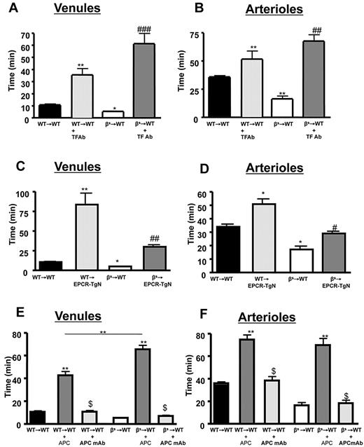 Figure 3. Effects of TF immunoneutralization and role of EPCR and APC on light/dye–induced thrombus formation in cerebral vessels. Administration of TF-blocking antibody to WT→WT and βs→WT chimeras extended blood flow-cessation time in cerebral venules (A) and arterioles (B). The accelerated thrombus formation observed in βs→WT chimeras was significantly reversed in βs→EPCR-TgN mice in both cerebral venules (C) and arterioles (D). WT (WT→WT) or sickle cell–transgenic (βs→WT) bone marrow chimeras were treated with either APC (40 μg/mouse) or an APC-neutralizing mAb (10 μg/mouse) 5 minutes before inducing thrombosis in both venules (E) and arterioles (F). Data are shown as the means ± SEM. *P < .05 compared with the corresponding control group (WT→WT or βs→WT); **P < .01 compared with the corresponding control group (WT→WT or βs→WT); #P < .05 compared with βs→WT or WT-EPCR-TgN; ##P < .01 compared with βs→WT or WT-EPCR-TgN; ###P < .001 compared with βs→WT or WT-EPCR-TgN; $P < .001 compared with WT→WT + APC or βs→WT + APC. n = 5-6 mice/group.