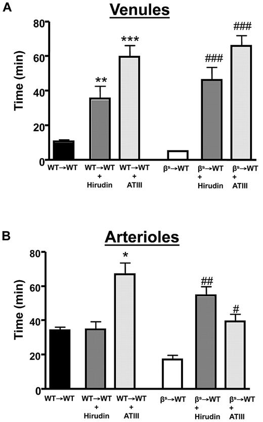 Figure 4. The effect of thrombin inhibition on light/dye–induced thrombus formation in cerebral vessels. Effect of treatment with a direct thrombin inhibitor on light/dye–induced thrombus formation in cerebral venules (A) and arterioles (B) of WT and βs mice. WT→WT and βs→WT received either hirudin (1 mg/kg) or ATIII (20 mg/kg) 5-20 minutes before the onset of light/dye–induced thrombosis, and the time taken for flow to cease was recorded in cerebral venules (A) and arterioles (B). Data are shown as the means ± SEM. *P < .05 compared with the corresponding WT→WT group; **P < .05 compared with the corresponding WT→WT group; ***P < .05 compared with the corresponding WT→WT group; #P < .05 compared with the corresponding βs→WT group; ##P < .05 compared with the corresponding βs→WT group; ###P < .05 compared with the corresponding βs→WT group. n = 5-6 mice/group.