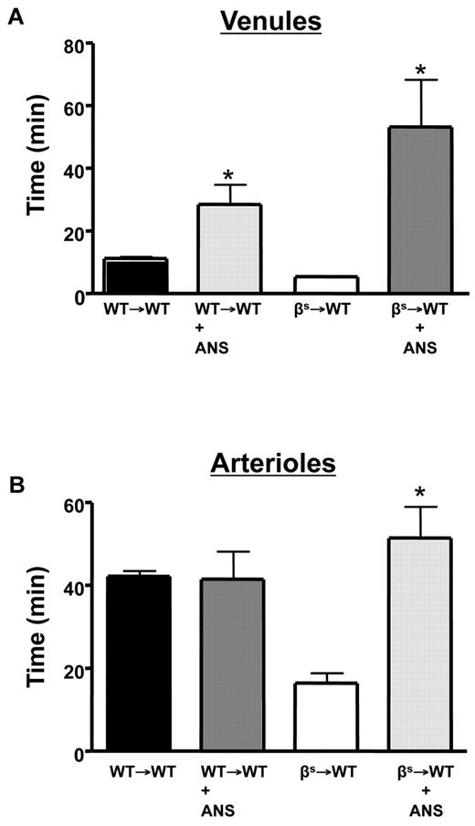 Figure 6. Role of neutrophils in light/dye–induced thrombus formation in cerebral vessels. Neutropenia was produced by administering ANS 24 hours before induction of thrombus formation in cerebral venules (A) and arterioles (B) of WT and βs mice. Data are shown as the means ± SEM. *P < .05 compared with the corresponding controls (WT→WT or βs→WT). n = 5-6 mice/group.