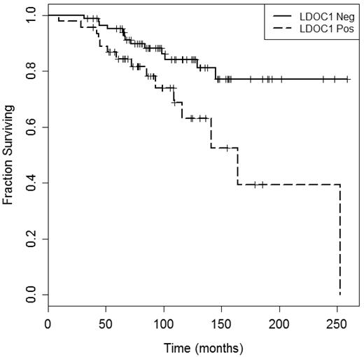 Figure 5. LDOC1 mRNA expression predicts overall survival. Overall survival was measured from the time of CLL diagnosis. The median survival for LDOC1 mRNA-positive patients was 164 months; the median survival for the LDOC1 mRNA-negative patients was not reached.