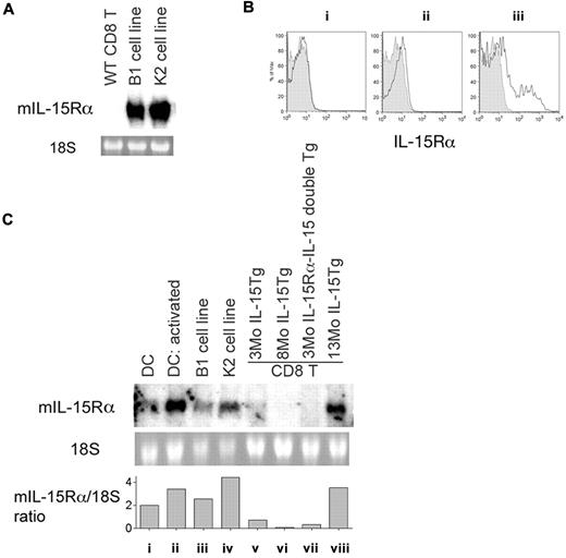 Figure 2. IL-15Rα is expressed on leukemic CD8 T cells from IL-15Tg mice. (A) Expression of mouse IL-15Rα mRNA in leukemic cell lines but not in normal CD8 T cells. Twenty micrograms of total RNA was resolved in a formaldehyde agarose gel and transferred to a nylon membrane, which was probed with a 32P-labeled mouse IL-15Rα fragment. As a loading control, the 18S ribosomal RNA was visualized with ethidium bromide staining. Origins of RNA were CD8 T cells from normal WT mice, from the B1 leukemia cell line, and from the K2 leukemia cell line. (B) Detection of IL-15Rα expression by an anti-mouse IL-15Rα antibody in CD8 T cells from IL-15Tg mice. IL-15Rα expression on CD8 T cells from IL-15Tg mice of different ages (solid lines) with staining of CD8 T cells from an IL-15Rα−/− mouse shown as a control (shaded area). Results represent 3-month-old (i), 9-month-old (ii), and leukemic 19-month-old (iii) IL-15Tg mice, with 3-6 mice in each age group. The averages of IL-15Rα mean fluorescent intensity in IL-15Rα−/− mice and IL-15Tg mice in groups i, ii, and iii were 4.2 ± 0.9, 6.8 ± 0.8, 7.6 ± 1.4, and 33.4 ± 10.2, respectively. (C) Acquisition of IL-15Rα expression in the leukemic phase, but not in the benign phase, by CD8 T cells in IL-15Tg mice. RNA was extracted from CD8 T cells purified from spleens, and 10 μg total RNA was loaded onto each lane and probed with a 32P-mouse IL-15Rα fragment. Origins of RNA were resting dendritic cells (DCs) (i), activated (poly I:C) DCs (ii), cells from the B1 cell line (iii), cells from the K2 cell line (iv), CD8 T cells from a young (3-month-old) IL-15Tg mouse (v), CD8 T cells from an 8-month-old IL-15Tg mouse (vi), IL-15Rα–IL-15 double-Tg cells from a 3-month-old mouse (vii), and CD8 T cells from a leukemic 13-month-old IL-15Tg mouse (viii). Densitometry analysis was performed, and the levels of IL-15Rα RNA expression normalized to that of 18S ribosomal RNA are indicated.
