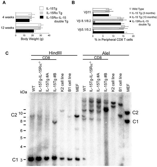 Figure 3. Monoclonality of certain IL-15Tg leukemic cells and polyclonal CD8 T-cell expansion was demonstrated in IL-15Rα–IL-15 double-Tg mice. (A) Smaller body weights of IL-15Rα–IL-15 double-Tg mice compared with IL-15Tg and IL-15RαTg mice. The body weights of IL-15Tg, IL-15RαTg, and IL-15Rα–IL-15 double-Tg litters (n = 5 for each group) were compared. At 12 weeks and later time points (not shown), there was a significant difference between the double- and single-Tg groups (P < .05). (B) Flow cytometric assessment of the clonality of CD8 T cells in IL-15Rα–IL-15 double-Tg mice. To assess whether the CD8 T cells in IL-15Rα–IL-15 double-Tg mice maintained polyclonality based on their usage of the TCR repertoire, cells were analyzed by flow cytometry using anti–Vβ5.1/5.2, anti–Vβ8.1/8.2, and anti–Vβ11 Abs. If polyclonal, the percentages of staining for the Vβ should be 8%-15%, whereas the disappearance of this subset indicates the loss of polyclonality in the 13-month-old IL-15Tg mouse. (C) Genomic Southern blot analysis to assess the clonality of the CD8 T cells from IL-15Tg mice. DNA was extracted from CD8 T cells purified from the spleen and lymph nodes of WT mice, IL-15Rα−/−IL-15Tg mice, a terminal-stage IL-15Tg mouse #A, a terminal-stage IL-15Tg mouse #B, or cells from the K2 leukemia cell line or the B1 leukemic cell line and a germline control (mouse embryonic fibroblast). Ten micrograms of each DNA was digested with HindIII or AleI enzymes and loaded to each lane. A 32P-labeled TCRβ constant-region fragment was used as a probe. The positions of constant region 1 and 2 in the germline control are indicated as C1 and C2, respectively.