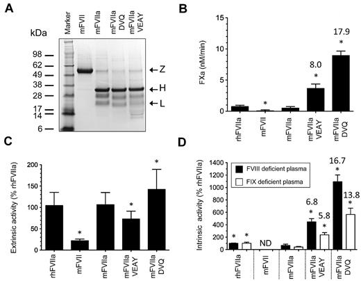 Figure 2. Characterization of recombinant proteins. (A) Approximately 4 μg of purified protein (mFVII, mFVIIa, mFVIIa-DVQ and mFVIIa-VEAY) was electrophoresed under reducing conditions and stained with Coomassie blue. The molecular sizes of the marker are shown on the left. Arrows indicate the zymogen form (Z), heavy (H) and light (L) chains. The lower-molecular-weight bands (10-16 kDa) are most likely degradation products, as have been previously observed in human recombinant FVIIa preparations.32,33 The differential staining of light and heavy chains with Coomassie blue is commonly found in human32,33 as well as murine FVIIa preparations.10,14 (B) Proteolytic activity of proteins using human FX as a macromolecular substrate in the absence of tissue factor expressed as nM FXa/min. Data were derived from at least 3 independent experiments. *P < .04 compared with mFVIIa. Fold increase is indicated relative to mFVIIa. (C) Extrinsic coagulant activity of recombinant proteins (% of rhFVIIa) in human FVII–deficient plasma. (D) Intrinsic coagulant activity of recombinant proteins (% of rhFVIIa) in human FVIII or FIX deficient plasma. Data for panels C and D were derived from at least 4 experimental points. *P < .03 compared with mFVIIa. ND indicates not detectable. Fold increase in activity in panels C and D is indicated relative to mFVIIa. All data are shown as average ± 1 SD.