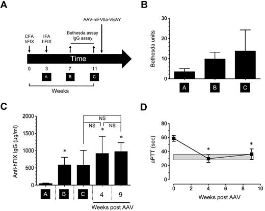 Figure 4. Continuous expression of mFVIIa-VEAY in hemophilia B mice with inhibitors. (A) Scheme for generating anti–human FIX inhibitory antibodies in HB mice. Downward arrows indicate injection of complete or incomplete Freund adjuvant (CFA and IFA, respectively) complexed with 20 μg of hFIX or administration of AAV-expressing mFVIIa-VEAY. Upwards arrows indicate collection of tail blood to assay Bethesda titer and total anti-hFIX IgG. Timepoints A-C are indicated. (B) Bethesda titers of HB mice before administration of AAV-mFVIIa-VEAY. (C) Total anti-hFIX IgG in HB mice prior (timepoints A-C) and after administration of AAV-mFVIIa-VEAY. *P < .05 vs timepoint A. Nonsignificant (NS) differences are indicated. (D) aPTT in HB mice with inhibitors to hFIX after administration of AAV-mFVIIa-VEAY. *P < .05 vs baseline (week 0). A gray box indicates the range in hemostatically normal mice using human FIX–deficient plasma (32.1 ± 2.4 seconds, n = 10). All data shown as average ± 1 SD.