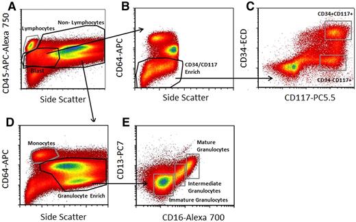 Figure 1. Gating strategy used to select cell subpopulations for signal-transduction pathway analysis. (A) The CD45-APC-A750/side scatter (SS) pattern was used to isolate lymphocytes from nonlymphocytes, define a generous “blast” region, and exclude nucleated erythrocytes from the analysis. (B) Blasts were further enriched for CD34 and CD117 as shown using CD64-PE and SS characteristics to exclude potential contaminating monocytes and maturing granulocytic cells. (C) CD34 and CD117 profiles from this enriched region were used for defining the CD34-ECD+CD117-PC5.5+ and CD34-ECD−CD117-PC5.5+ populations as shown. (D) Mature monocyte and granulocyte enriched regions were defined based on combining the nonlymphocyte gate and CD64-PE and SS light characteristics as shown. (E) The defined granulocyte-enriched region was then further subdivided into immature granulocytes, intermediate granulocytes, and mature granulocytes based on CD13-PC7 and CD16-A700 characteristics as shown. This scheme defines 6 regions (CD34+/CD117+; CD34−/CD117+, immature, intermediate and mature granulocytes, and monocytes) from which signaling data were derived. Acquired on Gallios flow cytometer and analyzed with FCS Express Version 3.