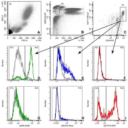 Figure 1. Gating strategy for pErk, pS6, and pStat5 in CD34+, CD117+ blast cells. (A) A region used to exclude debris. (B) The circle represents the blast region defined by CD45 expression and side scatter. (C) The box shows the CD34+/CD117+ region. (D,G) pErk histograms at t = 0 (gray) or 2 (green) minutes for SCF and t = 0 (gray) or 8 (green) minutes for IL-3, respectively. (E,H) pS6 histograms at t = 0 (gray) or 4 (blue) minutes for SCF and t = 0 (gray) or 8 (blue) minutes for IL-3, respectively. (F,I) pStat5 histograms at t = 0 (gray) or 2 (red) minutes for SCF and t = 0 (gray) or 8 (red) minutes for IL-3, respectively. The histograms are representative of all the flow cytometry data reported here.