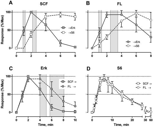 Figure 3. SCF- and FL-mediated Erk and S6 signal shape analysis. Response indicates percentage of responding cells with t = 0 level subtracted. Individual signaling profiles were normalized to t = 0 (equal to 0 response) and the largest value (maximum). t½Erk/S6 rise indicates time to 50% of maximum; and t½Erk/S6 decay, time to 50% loss of maximum. Gray zones represent 95% CI for t½Erk rise (A-B) and t½Erk decay (C). The response shapes for S6 phosphorylation were not significantly different (D). Error bars represent 95% CI.