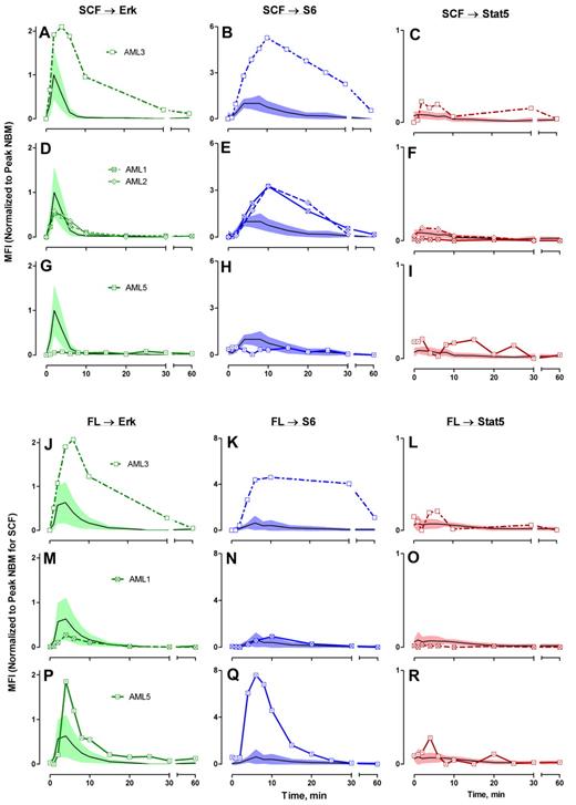 Figure 7. Phosphoprotein kinetic profiles of AML patient samples: MFI analysis. AMLs classified as 3 potential “phenotypes” by signaling patterns: AML3 (rows A and J); AMLs 1 and 2 (rows D and M); AML5 (rows G and P). Data have been normalized to NBM for SCF → Erk, SCF → S6, and IL-3 → Stat5 = 1.0 at max. Colored zones represent the 95% CI for the NBM blast response MFIs.