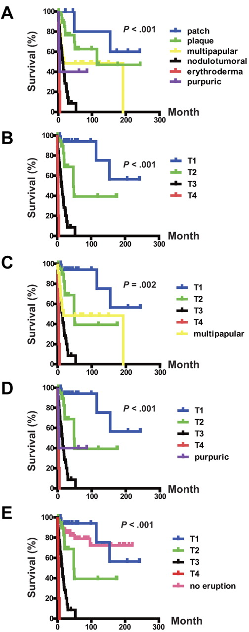 Figure 2. OS of ATLL patients with skin eruptions. (A) OS rates of skin eruption types. (B) OS rate of T stage. (C) OS rate of the T stage and the multipapular type. (D) OS rate of the T stage and the purpuric type. (E) OS rate of the T stage and the no-eruption type.