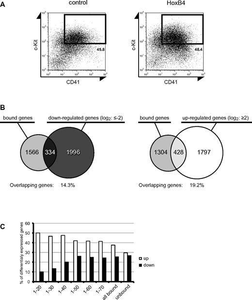 Figure 4. Comparison between ChIP-chip and expression microarray datasets. (A) At day 8 of OP9 coculture, c-Kit+CD41+ cells were flow cytometrically isolated and used for microarray analyses of gene expression. (B) Venn diagrams showing the number of genes bound by HoxB4, the number of down-regulated genes (left) or up-regulated genes (right) on HoxB4 expression, and the overlap between the 2. (C) Graph showing the percentage of HoxB4-bound genes when the fold change threshold stringency of ChIP-chip enrichment is changed. The x-axis shows the ranking of genes in descending order in terms of the ChIP-chip score. Each number corresponds to fold enrichment values as follows: 1, 4.72; 20, 3.45; 30, 3.35; 40, 3.28; 50, 3.21; 60, 3.13; and 70, 3.11.