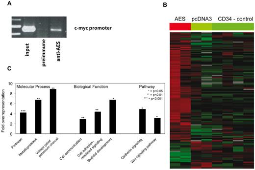 Figure 5. Identification of AES targets of repression. (A) AES-overexpressing CD34+ progenitor cells were analyzed by chromatin immunoprecipitation assay. Preimmune serum and serum against AES were used. The binding of AES to the known target promoter of c-myc was verified by PCR in vivo. (B) Whole genome microarray analyses of AES-overexpressing CD34+ cells and control cells. Gene expression results are shown as a heatmap of target genes. (C) Results of a Panther classification of the microarray analyses. Bars represent the overexpression of genes in different molecular processes, biological functions, and pathways after AES overexpression in CD34+ progenitor cells.