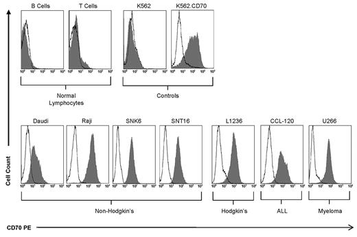 Figure 2. CD70 is overexpressed on several tumor cell lines but not on normal lymphocytes. Less than 5% of B and T lymphocytes from the peripheral blood of healthy donors express CD70. K562 and K562.70 served as negative and positive controls, respectively. CD70 overexpression was observed on non-Hodgkin (Daudi, Raji, SNK6, and SNT16), Hodgkin (L1236), ALL (CCL-120), and multiple myeloma (U266) cells.