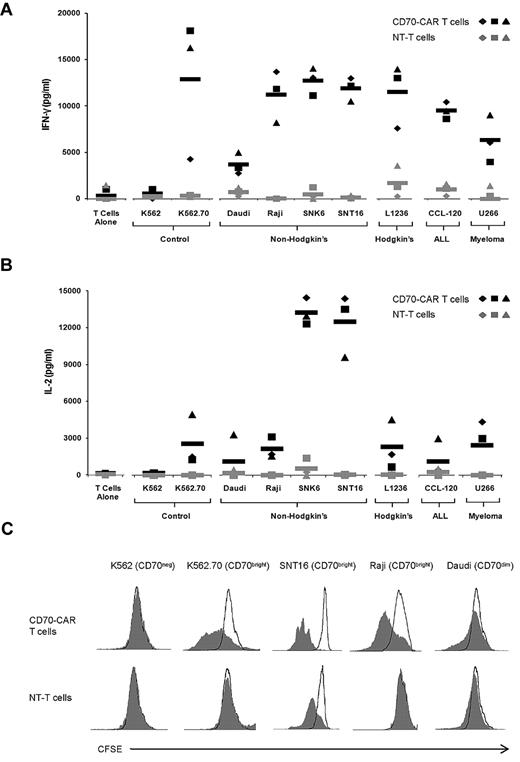 Figure 3. CD70-specific T cells release IFN-γ and IL-2 and proliferate in response to CD70-positive target cells. (A) T cells from 3 donors were transduced with CD70-CAR (black) or nontransduced (gray) and cocultured with K562.70 and K562 and various CD70-expressing tumor cell lines for 48 hours before performing IFN-γ ELISA. Black and gray rectangles represent mean IFN-γ release of CD70-CAR transduced and nontransduced T cells, respectively. CD70-CAR T cells were specific for CD70, because significantly more (P < .03) IFN-γ was released in the presence of K562.70 compared with K562 cells. CD70-CAR T cells also released significantly more (P < .0001) IFN-γ than nontransduced T cells when cocultured with CD70-expressing tumor cell lines. (B) Same coculture experiments but assayed for the presence of IL-2. CD70-CAR T cells released significantly more (P < .0001) IL-2 than nontransduced T cells in the presence of CD70-expressing tumors. (C) T cells were labeled with CFSE and cocultured for 5 days with K562, K562.70, SNT16, Raji, or Daudi in the absence of exogenous IL-2, and CFSE dilution was analyzed by flow cytometry. CD70-CAR T cells proliferated when cocultured with the CD70-overexpressing targets K562.70, SNT16, and Raji, but not CD70-dim Daudi cells or CD70-negative K562 cells.