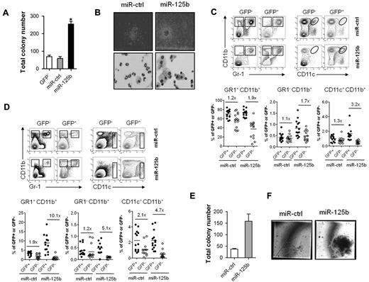 Figure 2. Enforced expression of miR-125b modulates granulocytic differentiation of murine Lin− cells in vitro and promotes myeloid cell development in vivo. (A) Colony formation by 1 × 105 Lin−/GFP−, Lin−/miR-ctrl and Lin−/miR-125b cells in methylcellulose cultures supplemented with G-CSF. (B) Microscopic images of colonies (top panel) and morphology of cells isolated from corresponding clonogenic assays (bottom panel); 4× and 60× magnifications of a representative field are shown, respectively. Analysis of (C) BM and (D) spleen cells of 10-week BM chimeras. The top panels show representative density plots of donor-derived cells stained for GR-1, CD11b, and CD11c and electronically gated on GFP− (left) and GFP+ (right) cells. In the bottom panels, lines indicate mean percentage of GFP− and GFP+ cells according to gates indicated in the corresponding top panels. Each dot represents an individual mouse. Data are pooled from 2 independent experiments. (E) Colony formation by Lin− cells isolated from BM chimeras described in panels C and D. 1 × 103 Lin−/miR-ctrl or Lin−/miR-125b cells (1 × 103) were cultured in methylcellulose containing SCF, IL-3, IL-6, and Epo. (F) Microscopic images of colonies from the experiment described in panel E; a 60× magnification of the representative field is shown. Mean of 4 (panel A), 2 (panels C,D,E) and representative experiments are shown, respectively. *P < .05 compared with Lin−/miR-ctrl cells.