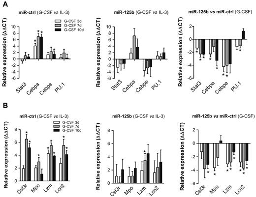 Figure 3. Over-expression of miR-125b changes the transcriptional profile of genes related to granulocytic differentiation. Transcriptional profiling of (A) myeloid transcription factors and (B) primary and secondary granule components in 32D/miR-ctrl cells (left panels compare G-CSF vs IL-3 conditions), 32D/miR-125b cells (middle panels compare G-CSF vs IL-3 conditions), and the fold difference between 32D/miR-ctrl and 32D/miR-125b cells in the presence of G-CSF (right panels compare 32D/miR-125b vs 32D/miR-ctrl) at the indicated time intervals. Hprt served as an endogenous control. Mean of 4 experiments is shown. *P < .05 compared with corresponding control at indicated time point of treatment.