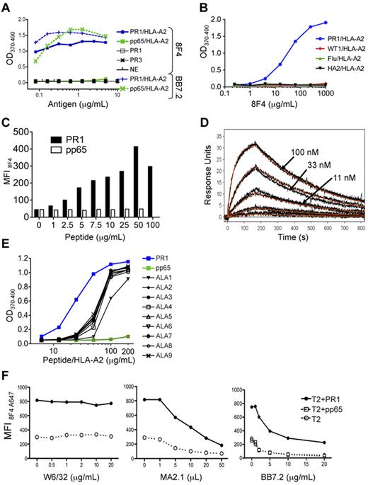 Figure 1. 8F4 binding to PR1 in the peptide-binding cleft of HLA-A2. Binding was determined by ELISA (A, B, E), flow cytometry (C,F), and surface plasmon resonance (D). (A) 8F4 binding to PR1/HLA-A2 monomer in ELISA depends on PR1/HLA-A2 monomer concentration (blue squares). 8F4 does not bind to control pp65/HLA-A2 monomer, (green squares), PR1 peptide alone (open squares), P3 (black X), or NE (black vertical dashes). In contrast, the BB7.2 antibody, which binds to defined residues of the HLA-A0201 molecule but not to specific peptides within the peptide-binding cleft, binds to both PR1/HLA-A2 (blue vertical dashes) and pp65/HLA-A2 (green X marks). (B) 8F4 binding to PR1/HLA-A2 monomer (blue circles) depends on the 8F4 concentration. 8F4 does not bind to peptide/HLA-A2 monomers containing control peptides WT1 (RMFPNAPYL; red diamonds), Flu (GILGFVFTL; green triangles), or HA-2 (YIGEVLVSV; black triangles). (C) 8F4 binding is dependent on PR1 occupancy of cell-surface HLA-A2 molecules. T2 cells were loaded with increasing concentrations of PR1 (filled bars) or pp65 control peptide (empty bars). Peptide-loaded cells were labeled with 8F4 followed by FITC goat anti–mouse IgG secondary antibody, and fluorescence was measured with FACS. Bars show MFI. (D) Kinetics and affinity of 8F4 mAb binding to the PR1/HLA-A2 complex measured by SPR. PR1/HLA-A2 monomer binds to 8F4 captured on anti–mouse surfaces with a calculated KD = 9.9nM. Measured response units (black and orange lines) show results from a 1:1 interaction model that was used to calculate KD. (E) Sensitivity of 8F4 binding to PR1 and peptide analogs synthesized with Ala substitutions at P1-P9 (ALA1-ALA9). Peptide/HLA-A2 monomers were tested for binding to 8F4 with ELISA. ALA substitution at P1 (ALA1) abrogated 8F4 binding at 50 μg/mL. (F) Epitope mapping shows 8F4 binding to a helical domain of HLA-A2 molecules. T2 cells were loaded with 20 μg/mL of peptide (PR1 or control pp65 peptide) and incubated with A647-conjugated 8F4 in the presence of increasing concentrations of the HLA-A2–specific mAbs W6/32 (left), MA2.1 (center), and BB7.2 (right).