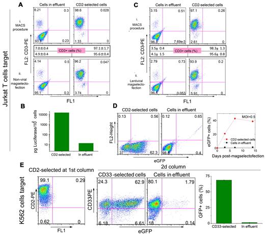 Figure 3. Cell separation efficiency and specific transfection/transduction of the target cells using nonviral and viral magselectofection Jurkat T cells as a target. (A) A mixture of 2.5 × 106 Jurkat T cells and 2.5 × 106 K562 cells was treated with CD2 MicroBeads and passed (i) sequentially through 2 LS columns (MACS procedure) or (ii) through one LS column, followed by magselectofection at the second LS column modified with PEI-Mag2/DF-Gold/pBLuc magnetic lipoplexes composed of 20 μg plasmid DNA (DNA/DF-Gold/MNP = 1:4:1; weight/volume/Fe weight). The CD2-cell fraction in the effluent (K562 cells) and the CD2+ cells positively selected in the column (Jurkat T cells) were treated with a CD3-PE antibody and analyzed for the percentage of CD3-PE+ cells using FACS analysis. Dot plots show the data for single measurement and the percentage of CD3+ cells (mean ± SD from triplicates in the inset boxes). (B) Luciferase expression in the effluent (CD3−/CD2− cells) and in the cell fraction that was magnetically selected with CD2 beads (CD3+/CD2+ cells). (C) A mixture of 0.5 × 106 Jurkat T cells and 0.5 × 106 K562 cells was treated with CD2 MicroBeads and passed (i) sequentially through 2 LS columns (MACS procedure) and (ii) through one LS column, followed by magselectofection in the second LS column modified with SO-Mag2/LV.eGFP magnetic lentivirus complexes (0.5 × 106 TU/column, 20 fg Fe/VP). The CD2− cell fraction in the effluent (K562 cells) and the CD2+ cells positively selected within the column (Jurkat T cells) were treated with a CD3-PE antibody and analyzed for the percentage of CD3-PE+ cells using FACS analysis. Dot plots show the data 31 for single measurement, and the percentage of CD3+ cells is given as mean plus or minus SD from triplicates in the inset boxes. (D) The cell fractions in the effluent and the CD2− selected fraction after the second column loaded with SO-Mag2/LV.eGFP magnetic lentivirus complexes formulated at 20 fg Fe/VP were analyzed for eGFP expression using FACS analysis. FACS data are shown for MOI of 2. The right graph shows the percentages of eGFP+ cells in the effluent and in the CD2-selected fraction at different time points after magselectofection using an MOI of 0.5. (E) K562 cells as a target. A mixture of 9 × 106 Jurkat T cells and 1 × 106 K562 was labeled with CD2 MicroBeads for depleting the Jurkat T cells on an unmodified LS column. The cells in the effluent were labeled with CD33 MicroBeads and applied to the second vector-loaded LS column (SO-Mag2/LV.eGFP magnetic lentivirus complexes, 2 × 106 TU/column, formulated at 10 fg Fe/VP). The CD2-selected cells from the first column were analyzed for CD2 expression and the CD33-selected and effluent fractions from the second column were analyzed for eGFP expression using FACS analysis. All experiments were carried out in triplicate.