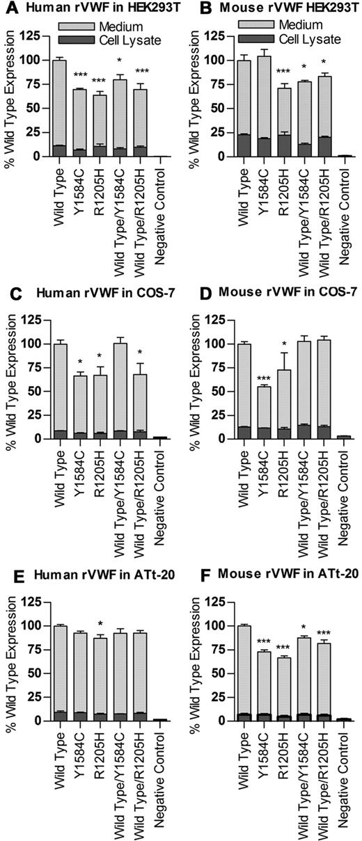 Figure 1. Expression of human and mouse recombinant VWF. Transient transfections of VWF cDNAs were performed in HEK293T, COS-7 and ATt-20 cells, and expressed in serum-free medium, 2 experiments, n = 3 each. Total VWF produced in medium and cell lysates per 10 cm dish was measured via VWF:Ag ELISA, and results normalized to total wild-type VWF equal to 100 for both human (A,C,E) and mouse (B,D,F). *P < .05. ***P < .001.