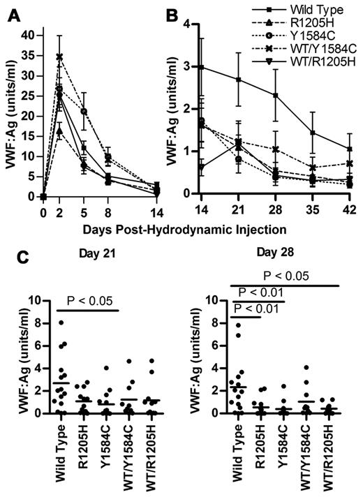 Figure 4. Mouse VWF antigen levels after hydrodynamic injection. VWF knockout mice expressing wild-type, R1205H, Y1584C, or wild-type and mutant mVWF were sampled after thydrodynamic injection (N ≥ 10). VWF:Ag levels were determined via ELISA. (A) VWF:Ag levels from days 2 to 14 after hydrodynamic injection. (B) VWF:Ag levels from days 14 to 42 after hydrodynamic injection. Symbols represent means with SEM error bars. (C) VWF:Ag levels for days 21 and 28. Each circle represents data from a single mouse; bars represent the mean VWF:Ag value.