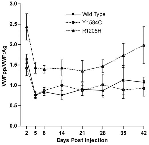 Figure 5. VWFpp/VWF:Ag ratios for hydrodynamic mVWF VWF knockout mice expressing wild-type, R1205H, or Y1584C cDNA were sampled after hydrodynamic injection (N ≥ 10). VWF:Ag and VWFpp levels were determined via ELISA. Values are normalized to a mean wild-type ratio equal to 1.0, which is 6.5-fold lower than that of normal C57BL/6J mice.