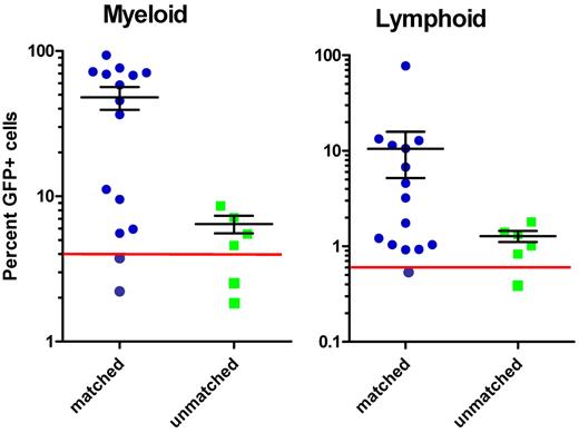 Figure 4. Increased percentage donor chimerism in MHC-matched transplant recipients. The percentage of GFP+ cells within the myeloid and lymphoid gates was plotted for each individual transplant recipient. Each recipient animal received 50 to 75 × 103 WKM cells in addition to 2 × 105 peripheral blood carrier cells. Each unique symbol represents a single transplant recipient. Sixteen recipients were evaluated 16 weeks after transplantation, including all the unmatched recipients. Five of the matched recipients were evaluated at 14 weeks. The red lines indicate the thresholds for myeloid (> 4%) and lymphoid (> 0.6%) engraftment. Mean percentage of GFP+ cells ± SEM is shown for the engrafted animals in each group. The level of donor chimerism in the engrafted matched recipients was significantly higher than for the engrafted unmatched recipients (P = .0002 and P = .05 for the myeloid and lymphoid gates, respectively).