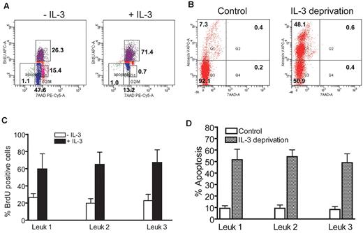 Figure 4. High responsiveness of FA IL-3Rα–positive blasts to IL-3. (A) FA IL-3Rα–positive blasts displayed a significantly higher proliferative rate in the presence of IL-3. Human CD45+IL-3Rα+ cells from the bone marrow of FA leukemic mice were cultured in the presence of IL-3 (10 ng/mL) for 15 minutes, followed by BrdU incorporation assay. (B) Cells described in panel A were continuously cultured in the presence of 10 ng/mL of IL-3 for 2 days, and then shifted to IL-3 free medium for an additional 2 days. Cell apoptosis was then determined by annexin V/7AAD double staining, followed by flow cytometric analysis. (C-D) Quantitative analysis of BrdU incorporation and apoptosis. Data are presented as the percentage of BrdU incorporated or of apoptotic cells. Results of individual samples were plotted after normalization with total cell number. Results are means ± SD of 3 independent experiments.
