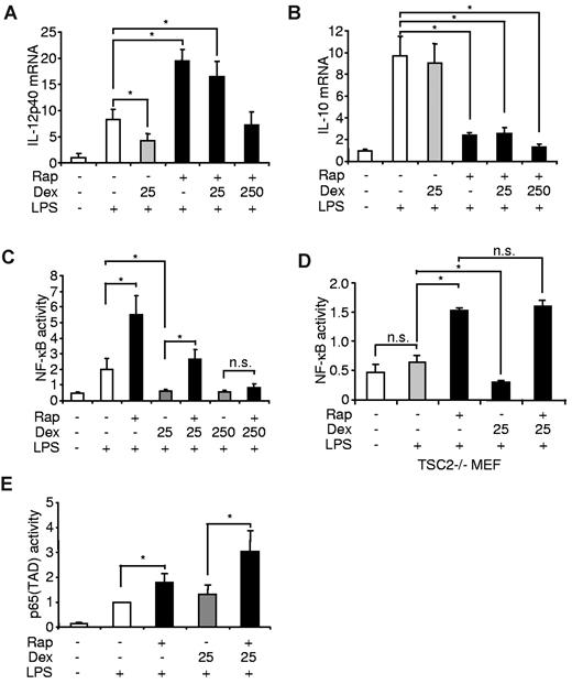 Figure 5. mTOR and the GR differentially regulate the activation of NF-κB in monocytes. Human monocytes were treated as indicated. After 8 hours of stimulation, (A) IL-12p40 and (B) IL-10 mRNA were assessed by reverse-transcribed polymerase chain reaction. mRNA levels are depicted as increase over the unstimulated controls and represent the mean ± SEM of 3 donors. (C) THP-1 and (D) Tsc2−/− cells were transfected with an NF-κB luciferase reporter plasmid and treated as indicated. Luciferase activity is shown as the mean ± SEM of 3 independent experiments performed in triplicate. (E) THP-1 cells were transfected with a Gal4 luciferase reporter and an expression plasmid encoding a p65(TAD)-Gal4 fusion. Luciferase activity is shown as the mean ± SEM of 3 independent experiments performed in triplicate. *P < .05. n.s. indicates not significant.