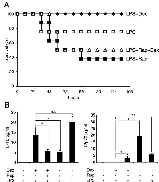 Figure 7. Dexamethasone (Dex) does not rescue the detrimental effect of rapamycin in a murine sepsis model. (A) Male C57BL/6 mice (n = 8/group) were injected with 1.5 mg/kg per day rapamycin (Rap; intraperitoneally; on 2 consecutive days), 300 μg/kg Dex (subcutaneously), or vehicle as described in “LPS shock model.” Then mice were challenged with 20 mg/kg LPS (intraperitoneally), and survival was monitored for 156 hours. (B) Mice were treated as in panel A but challenged with 10 mg/kg LPS. Serum samples were drawn at 6 hours and assayed for cytokines by Luminex. Results represent the mean ± SEM (n = 4-6/group). *P < .05. **P < .01. n.s. indicates not significant.