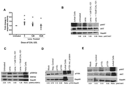 Figure 1. Lenalidomide leads to activation of the PI3K pathway via a PI3K-δ-dependent mechanism. (A) CD19+ cells from CLL patients (N = 9) treated with or without 0.5μM lenalidomide were examined for PI3K activity with and without the addition of 1 or 10μM CAL-101 to the lysate. Results were calculated relative to micrograms of protein. (B) CD19+ cells from CLL patients (N = 6) were incubated with or without 0.5μM lenalidomide and/or CAL-101 for 48 hours. AKT phosphorylation at Ser473 was assessed by immunoblot. Results are shown from one of 6 experiments. (C) CD19+ cells from CLL patients (N = 4) were incubated with or without 0.5μM lenalidomide and/or CAL-101 for 48 hours. GSK3β phosphorylation at Ser9 was assessed by immunoblot. Results are shown from one of 4 experiments. (D) CD19+ cells from CLL patients (N = 3) were transfected with siRNA targeted to PI3K-δ, PI3K-γ, or a nonsense target. p110δ protein expression was assessed by immunoblot. Results are shown from one of 3 experiments. (E) CD19+ cells from CLL patients (N = 3) were transfected with siRNA targeted to PI3K-δ, PI3K-γ, or a nonsense target and then incubated with or without 0.5μM lenalidomide for 48 hours. AKT phosphorylation at Ser473 was assessed by immunoblot. Results are shown from one of 3 experiments. (B-E) Quantification was done using the Alpha Innotech FluorChemQ MultiImage III System.