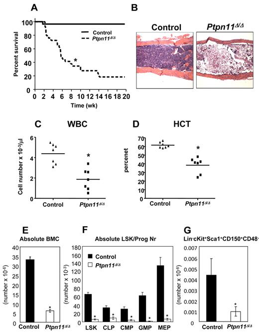 Figure 1. Deletion of Ptpn11 leads to fatal BM failure and loss of HSCs. (A) Kaplan-Meier survival analysis of a cohort of Mx1-Cre;Ptpn11flox/flox (n = 30) and littermate control (n = 28) mice after pIpC treatment. Ptpn11Δ/Δ mice have a median life span of 5 weeks; control mice remain healthy for > 10 months. *P < .05, log-rank test. (B) Hematoxylin and eosin-stained sections from humeri of control and Ptpn11Δ/Δ animals 4 to 5 weeks after receiving their last dose of pIpC. The samples were analyzed using an Olympus BX41 microscope with the objective lens 4×/0.75 Olympus UPlanFL (Olympus). The pictures were taken using Olympus QColor5 and analyzed with acquisition software QCapture Pro v6.0 (QImaging) and Adobe Photoshop 6.0 (Adobe). (C-D) White blood cell count (WBC; C) and hematocrit (HCT; D) of control and Ptpn11Δ/Δ mice. *P < .05, Student t test. (E) BM cellularity (per 2 hind limbs) in control and Ptpn11Δ/Δ animals shown as mean ± SEM. *P < .05, Student t test. (F) Absolute number (mean ± SEM). *P < .05, Student t test. LSK, common lymphoid progenitors (Lin− Sca1+ c-kitloIL7Rα+), common myeloid progenitors (Lin−Sca1−c-kit+CD34+FcγRlo), granulocyte-macrophage progenitors (Lin−Sca1− c-kit+CD34+FcγRhi), megakaryocytic-erythroid progenitors (Lin−Sca1−c-kit+CD34−FcγR−/lo) of control (n = 7) and Ptpn11Δ/Δ mice (n = 7). (G) Absolute number (mean ± SEM). *P < .05, Student t test. SLAM-HSCs from control (n = 3) and Ptpn11Δ/Δ mice (n = 3).