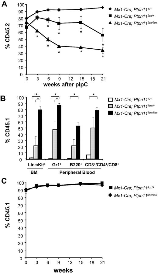 Figure 2. Cell-autonomous requirement for Ptpn11 in HSC maintenance. (A) Lethally irradiated CD45.1+ recipients were transplanted with 106 BM cells from Mx1-Cre;Ptpn11+/+ (n = 6), Mx1-Cre;Ptpn11flox/+ (n = 4), or Mx1-Cre;Ptpn11flox/flox (n = 4) mice, along with 105 wild-type CD45.1+ cells. After 5 weeks of engraftment, chimeric mice were treated with 5 doses of pIpC, and the percentage of peripheral blood cells expressing CD45.1 and CD45.2 was quantified by flow cytometry at the indicated times. *P < .05, analysis of variance. (B) Levels of CD45.1+ BM Lin−c-kit+ progenitors (LK) and peripheral blood B220+, CD3+/CD4+/CD8+, and Gr1+ cells were quantified 21 weeks after pIpC induction. *P < .05, analysis of variance. (C) Lethally irradiated Mx1-Cre;Ptpn11flox/+ (n = 4) and Mx1-Cre;Ptpn11flox/flox (n = 4) control recipients were transplanted with 106 BM cells from wild-type CD45.1+ donors. Mice were treated and analyzed as described in panel A.