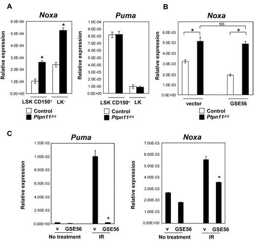 Figure 4. p53-independent up-regulation of Noxa in Ptpn11Δ/Δ HSCs and progenitors. (A) Quantitative PCR of Noxa and Puma in LSKCD150+ and LK cells from control and Ptpn11Δ/Δ mice 23 days after pIpC induction. Results present mean ± SEM relative to Gapdh expression. *P < .05, Student t test. Representative data from one of 4 experiments with similar results are shown. (B) Lin− BM cells, harvested from control and Ptpn11Δ/Δ mice 10 days after pIpC induction, were infected with control lentivirus or lentivirus expressing a dominant negative p53 mutant (GSE56). Cells were cultured for 48 hours in vitro before staining with anti–c-kit and anti-Sca1 antibodies. GFP+ LSK cells were sorted and Noxa expression (mean ± SEM) was determined by quantitative PCR. *P < .05, Student t test. NS indicates not significant. Representative data from one of 3 experiments with similar results are shown. (C) Lin− BM cells were infected with control lentivirus or lentivirus expressing GSE56. Cells were cultured for 48 hours in vitro and were left untreated or irradiated (IR, 300 cGy), harvested, and subjected to quantitative PCR as described in panel B. The levels of Puma and Noxa normalized to Gapdh expression are shown (mean ± SEM). *P < .05, Student t test.